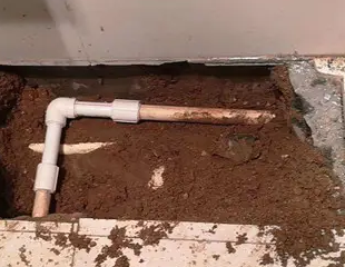 万宁测漏水哪家好